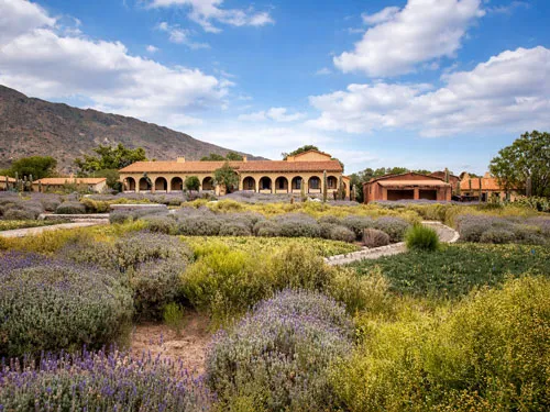 Koloniale Hacienda Colomé in einer grünen Kulturlandschaft mit Bergen im Hintergrund