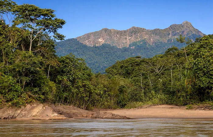 Madidi National Park and Chalalán Lodge in the tropical rainforest along a river