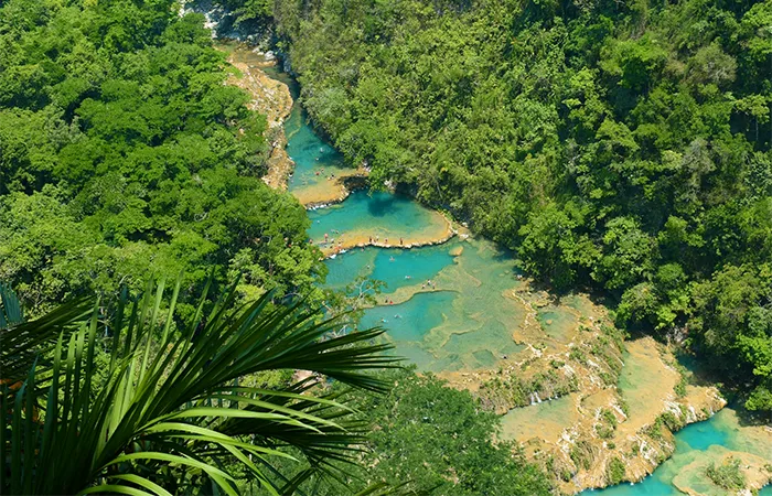 Piscines naturelles turquoise de Semuc Champey, nichées dans une forêt tropicale luxuriante au centre de l'Équateur