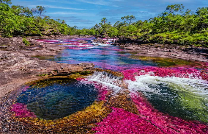 Caño Cristales avec son lit de rivière coloré aux teintes rouges, jaunes et vertes dans la forêt tropicale colombienne