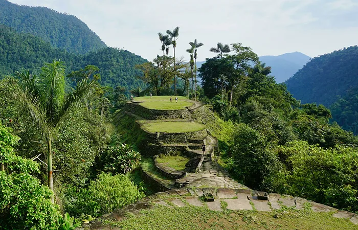 Terrasses et marches en pierre de la Cité Perdue dans la jungle dense de la Sierra Nevada de Santa Marta