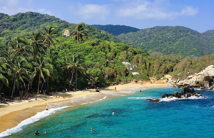 Plage tropicale dans le parc national de Tayrona avec des palmiers, la jungle et la mer des Caraïbes bleu turquoise