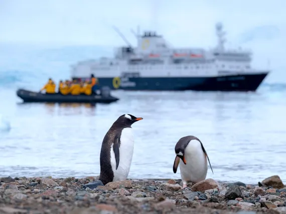 Antarktis-Expedition (ab Punta Arenas)