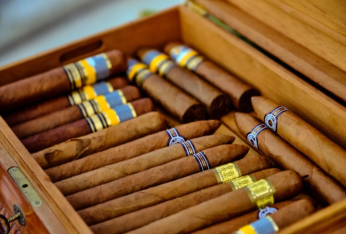 Cigarros en una caja de madera abierta en Cuba