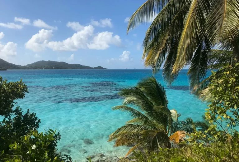 Mer turquoise et palmiers sur la côte caraïbe colombienne