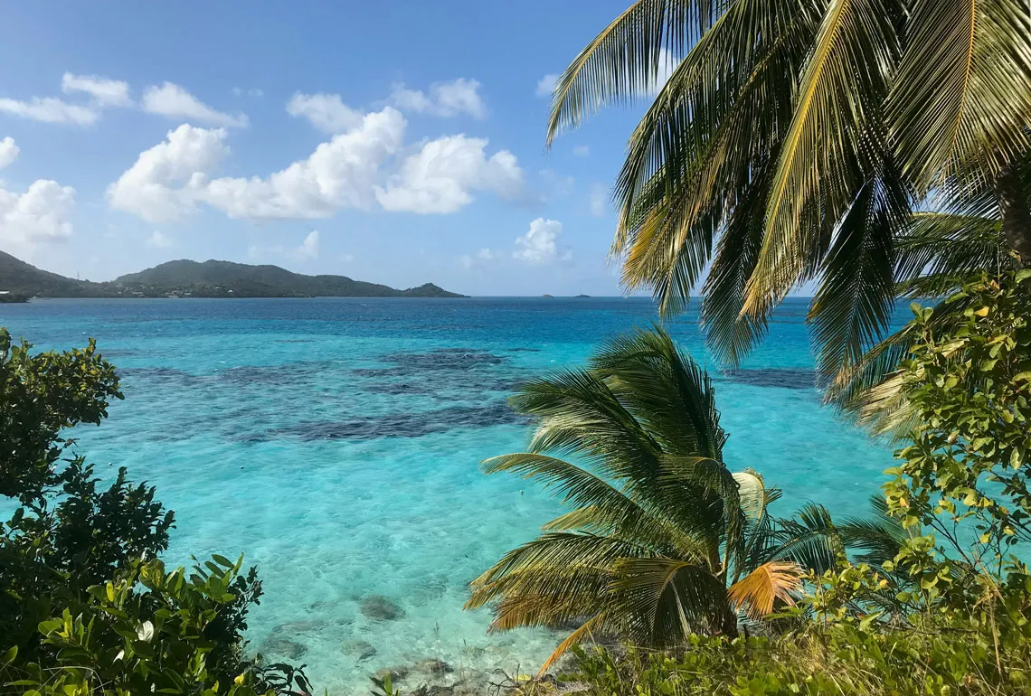 Mar turquesa y palmeras en la costa caribeña de Colombia